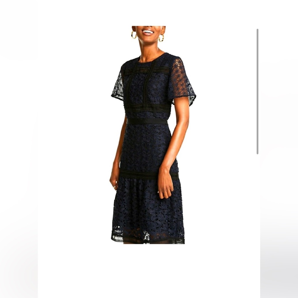 Ann Taylor Navy and Blue Lace Floral Dress